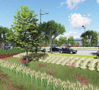Civitas Redesigns Two Iconic Denver Parkways to Favor Pedestrians