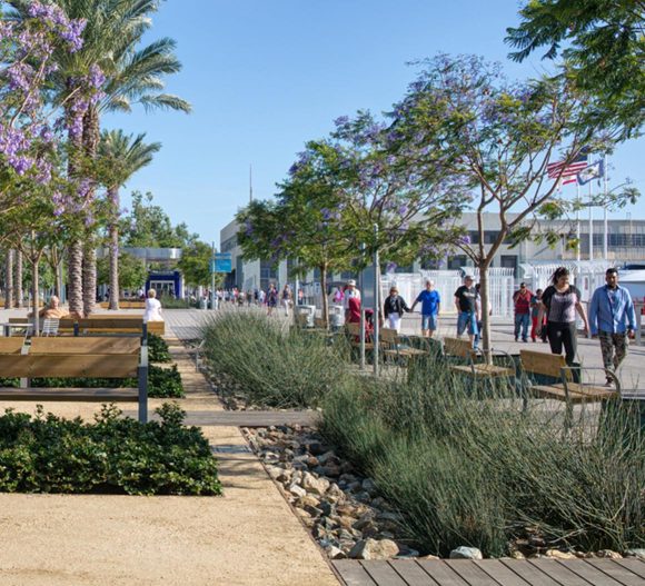 landscaping along waterline at san diego harbor