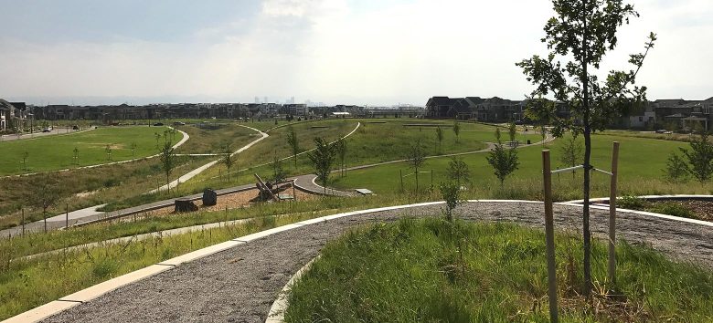 panoramic view of trails winding through central park