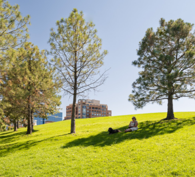 Commons Park: A Legacy of Urban Renewal, Ecological Restoration, and Community Engagement